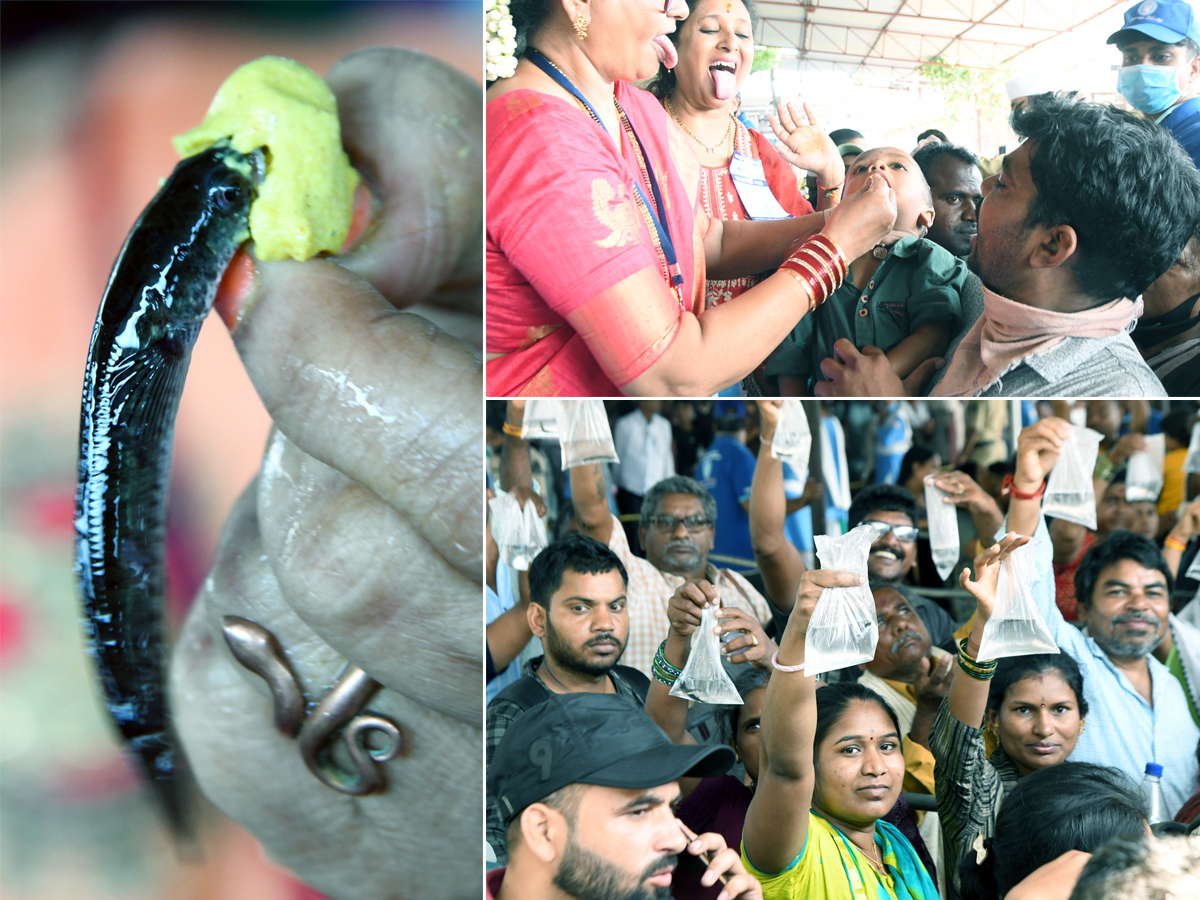Chepa Mandu Prasadam In Nampally Exhibition Grounds Hyderabad1