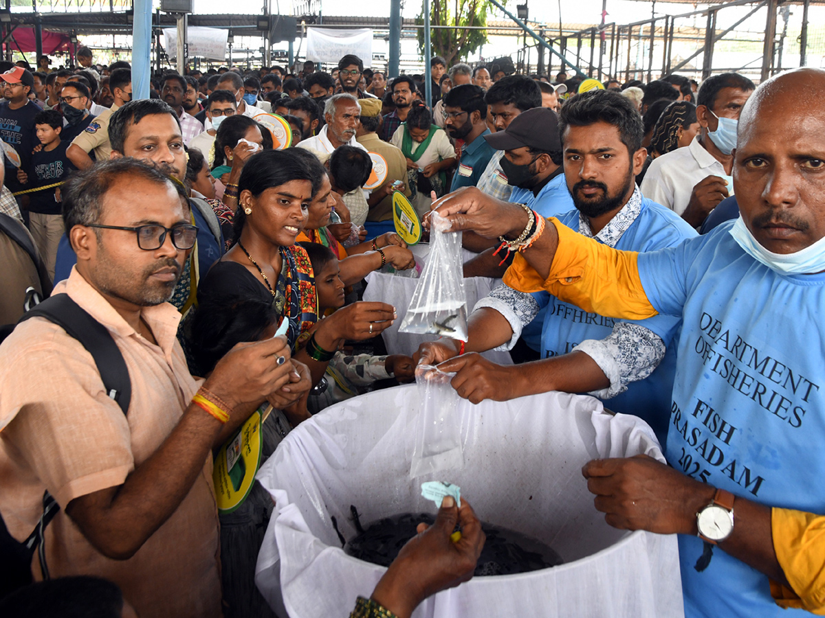 Chepa Mandu Prasadam In Nampally Exhibition Grounds Hyderabad23