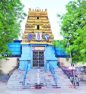 డొక్కలు చిక్కి .. బొక్కలు తేలి1