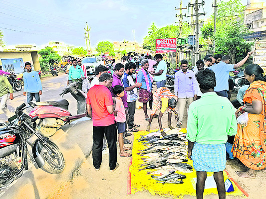 పచ్చాపల పండుగ 2