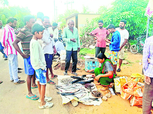 పచ్చాపల పండుగ 1