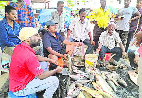 మృగశిర మురిపెం1