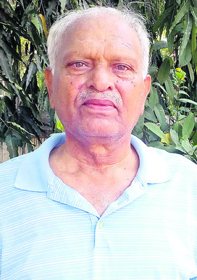 అరటి సాగు వైపు అన్నదాతల చూపు1
