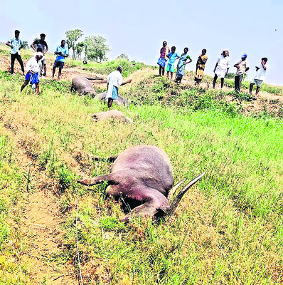 కొనసాగుతున్న తాత్కాలిక బస్టాండ్‌ పనులు
2