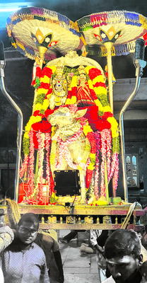 భక్తిశ్రద్ధలతో ప్రదోషకాల పూజలు1
