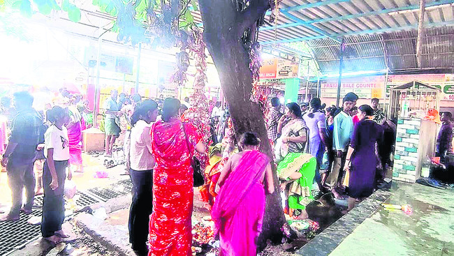 రథాల పై అంతస్తు తయారీ ప్రారంభం 1