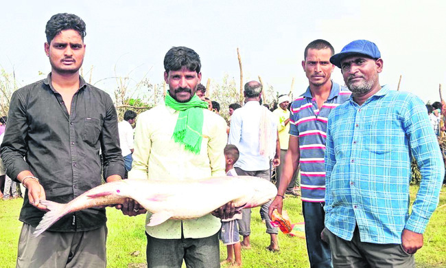 ‘సనాతన ధర్మమే విశ్వగురువు’
2