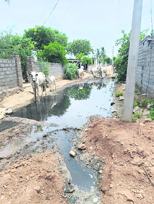 వీధుల్లో పారుతున్న మురుగు1