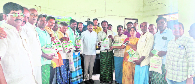 పంట మార్పిడితో అధిక దిగుబడులు 1
