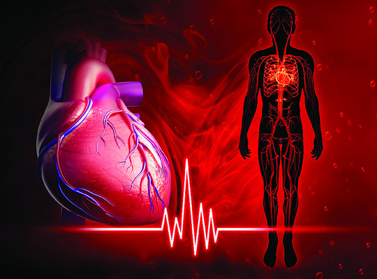 హాసన్‌లో హృదయ వేదన1