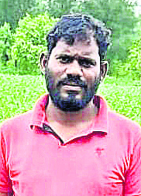 రంజనిలో ఎర్రచందనం సాగు1