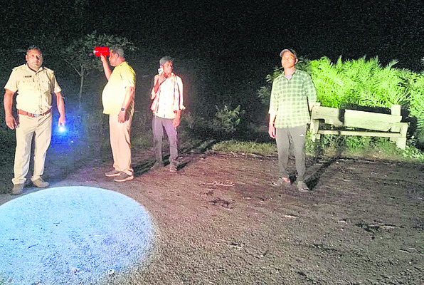 కుంభేయిగుడలో ఏనుగుల సంచారం1