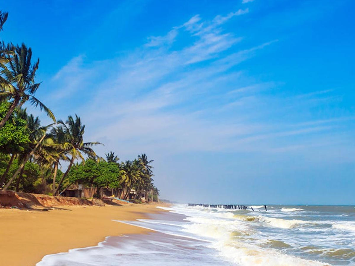 Best Places to Visit in Auroville Might Change Your Mind2