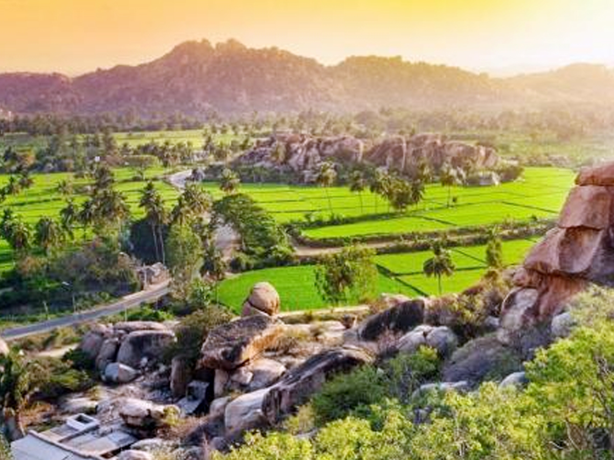 Best Places to Visit in Auroville Might Change Your Mind5