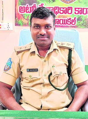అడవిపై గొడ్డలి వేటు2