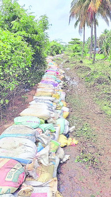 గోదారి జలజడి1
