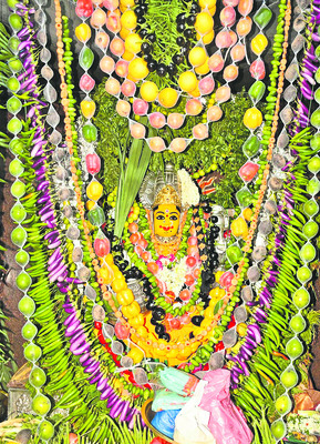 శాకంబరిదేవిగా విద్యాధరి1