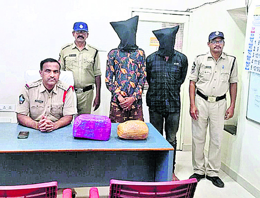 పాముకాటుతో బాలిక మృతి 3