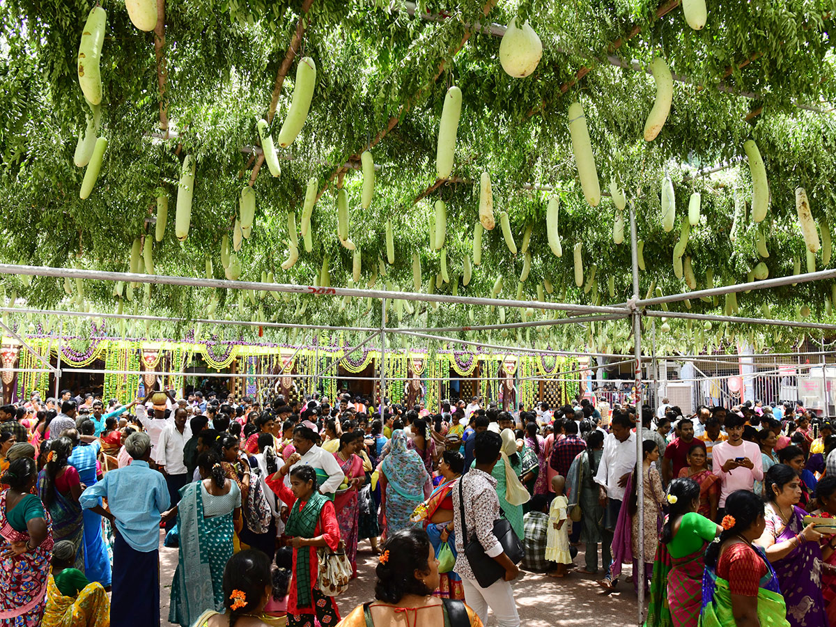 Shakambari Utsavalu 2025 in Vijayawada Indrakeeladri29