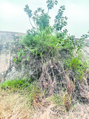 కడ‘గండ్ల’కు కారుకులెవరు? 1