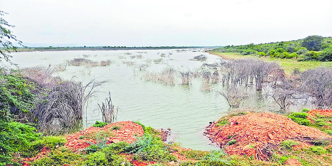 ప్రకాశం2