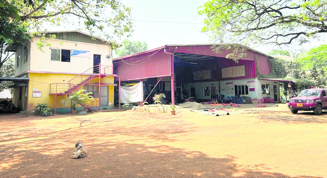 జీవితాలతో చెలగాటం2