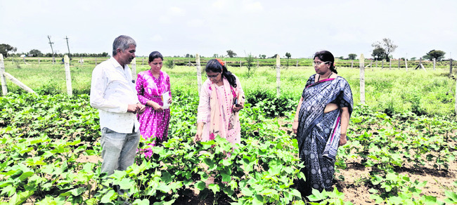 విధుల్లో చేరిన జనరల్‌ ఆస్పత్రి సూపరింటెండెంట్‌ 
1