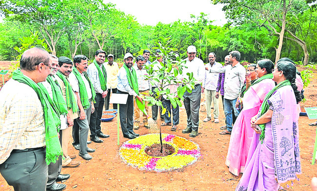 రహదారి భద్రతపై ఆర్టీఏ పాఠాలు 1