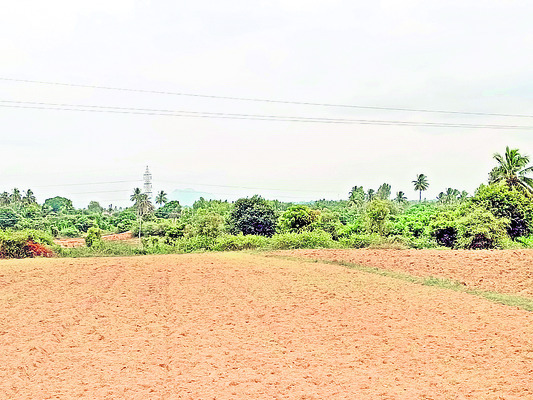 ‘విత్తు’కోని ఆశలు1
