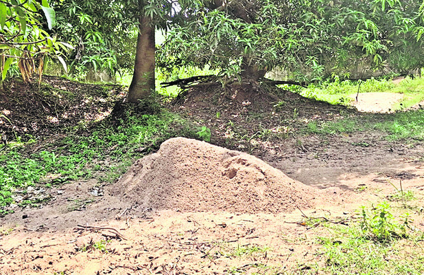 హోంమంత్రి ఇలాకాలో ఆగని ఇసుక దందా! 1
