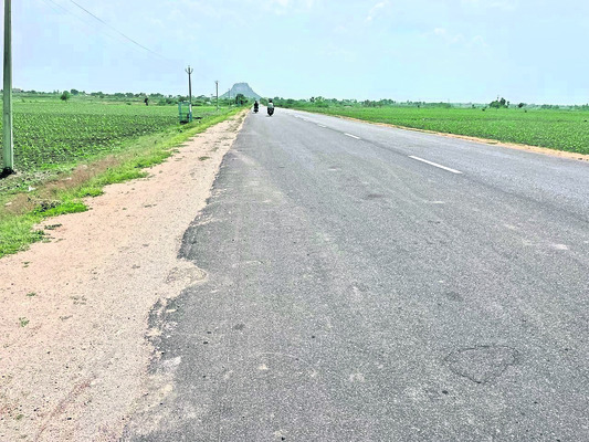 లెక్కల్లోనే మొక్కలు! 1