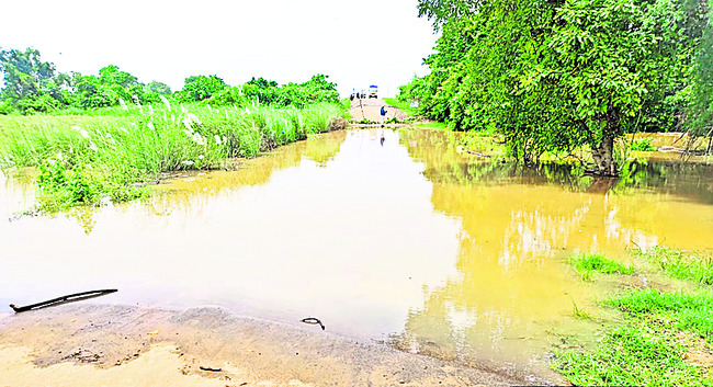 పెరుగుతున్న గోదావరి1