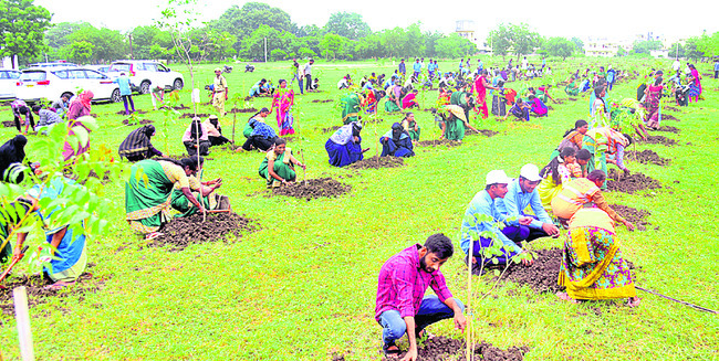 మొక్కలు నాటి సంరక్షించాలి 1