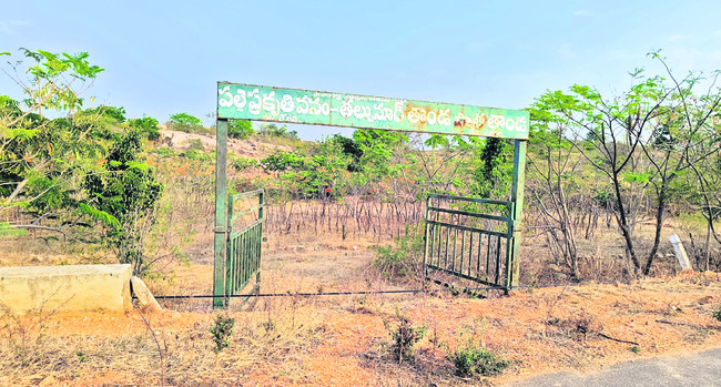 అధ్వానం.. పల్లె ప్రకృతి వనం 1