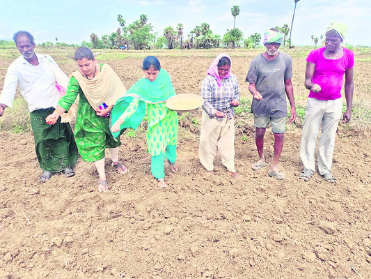 వెదజల్లు.. సాగు ఫుల్లు!1