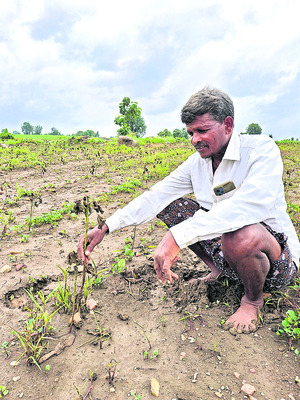 వరద తగ్గింది.. బురద మిగిలింది2