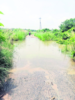 నెమ్మదిస్తున్న గోదావరి1