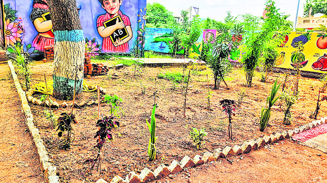 హరిత టీచర్లు1