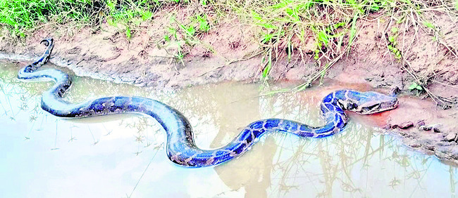 ఆర్టీసీ దుకాణ దారులకు జరిమానా2