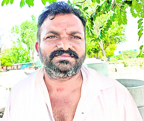 క్యాబేజీ అధరహో 1