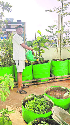 పెంట్హౌజ్ ఓ బృందావనం..
1