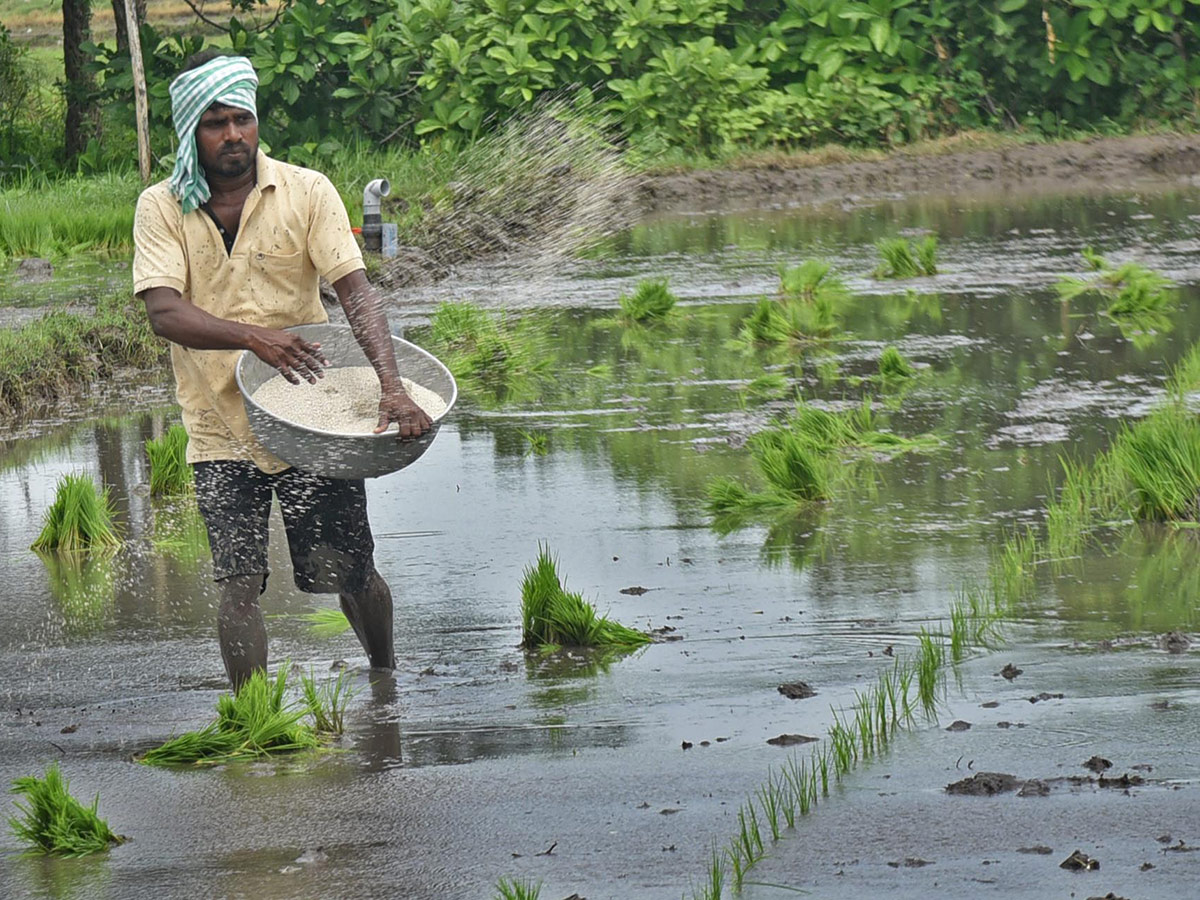 Best Photos of The Week in AP and Telangana Photo Gallery14