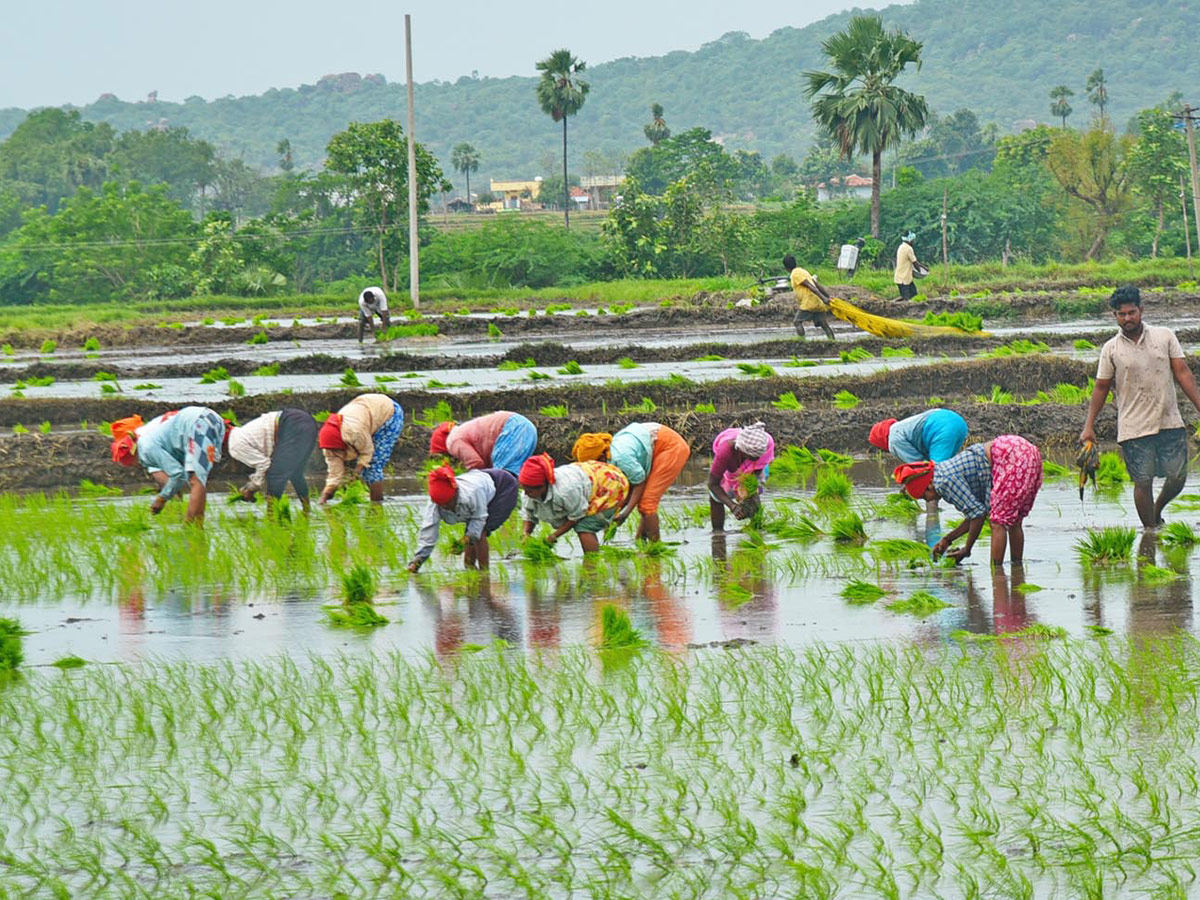 Best Photos of The Week in AP and Telangana Photo Gallery15