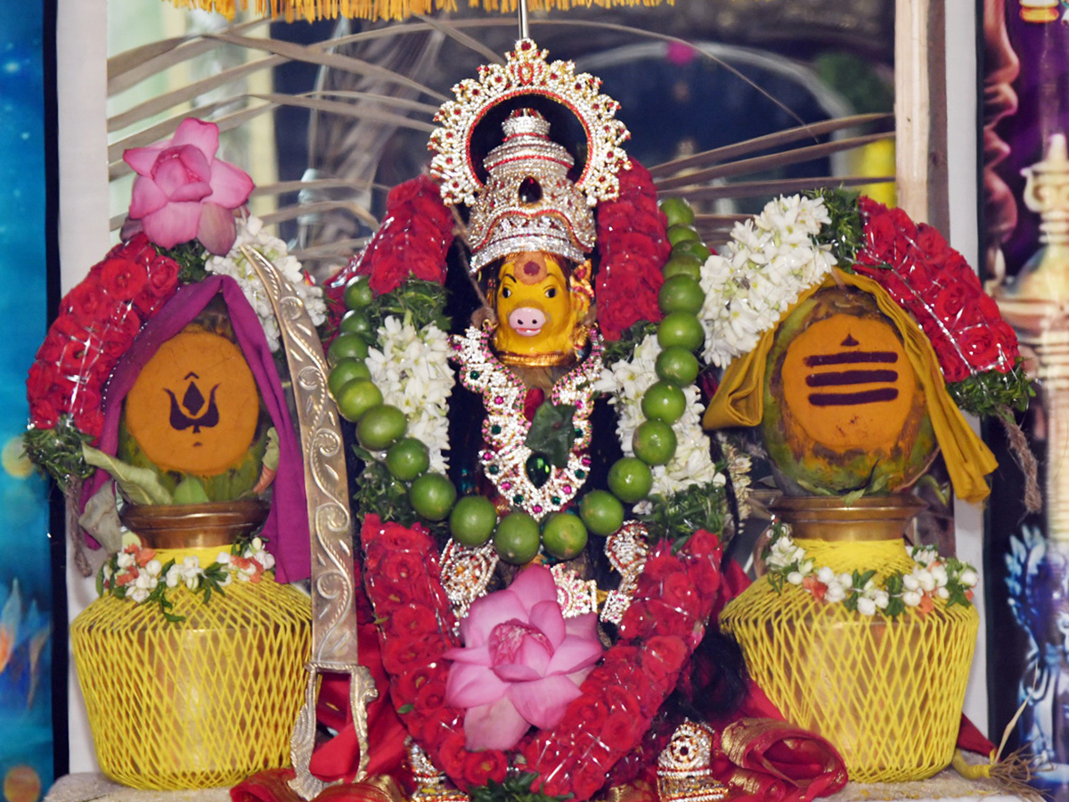 Best Photos of The Week in AP and Telangana Photo Gallery4