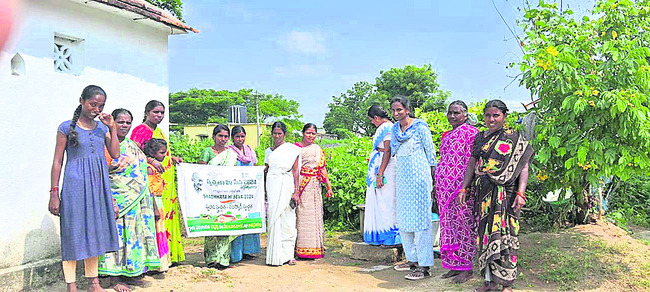 చూడచక్కని చెక్కపల్లి1