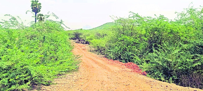 పచ్చముఠా దోపిడీ 1