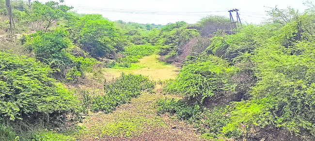 మడి.. తడారి..1