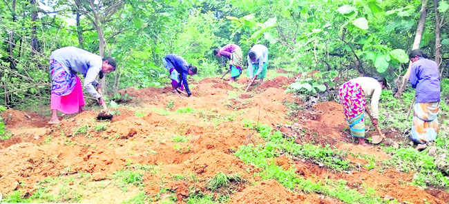 నిలువెత్తు నిర్లక్ష్యం 3