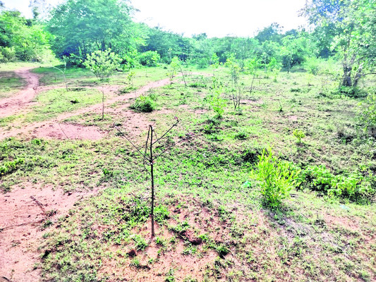 నిలువెత్తు నిర్లక్ష్యం 2