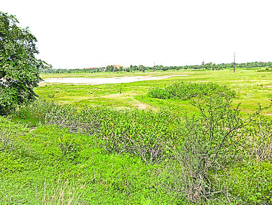 చెరువులు నింపని వాన1